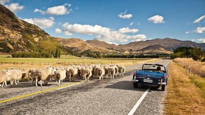 Mộ số lưu ý cần biết để xin thành công visa New Zealand