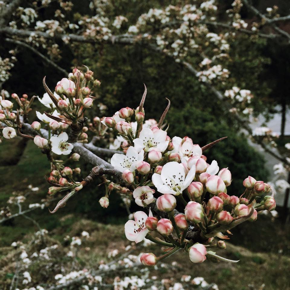 Những điều tuyệt vời nhất ở xứ Đài