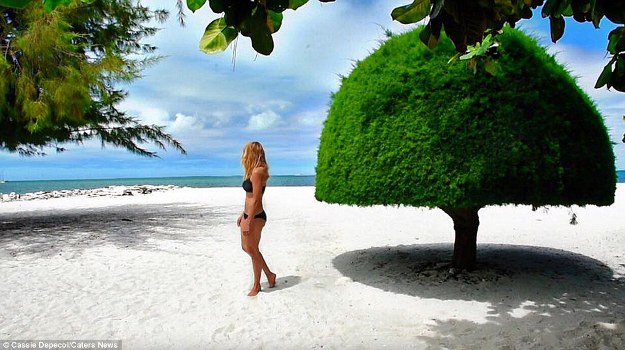 Du lịch 180 quốc gia trên thế giới trong 15 tháng